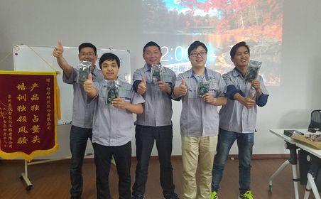 2017榛勫煍鍩硅绮惧僵鑺辩诞